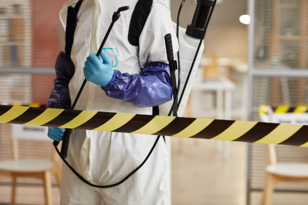 Professional Sewage Cleanup technician working in Brownville, NJ